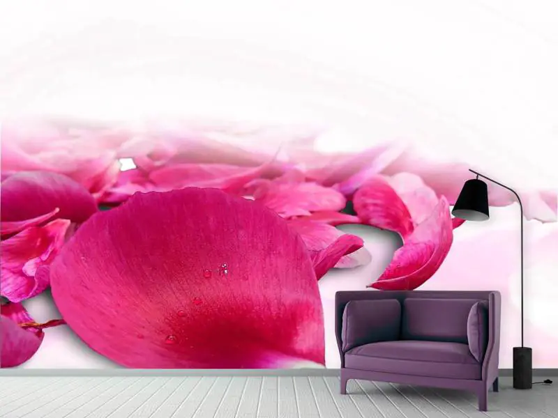 Fototapet Rose petals in pink 3