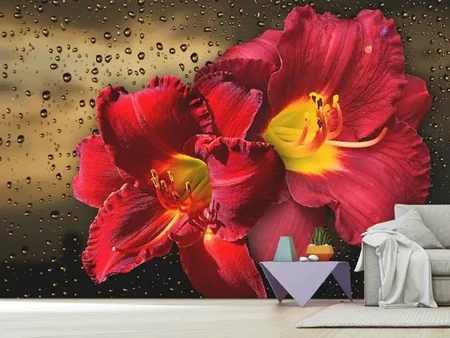 Papier peint photo Fleurs de lys avec des gouttes d'eau