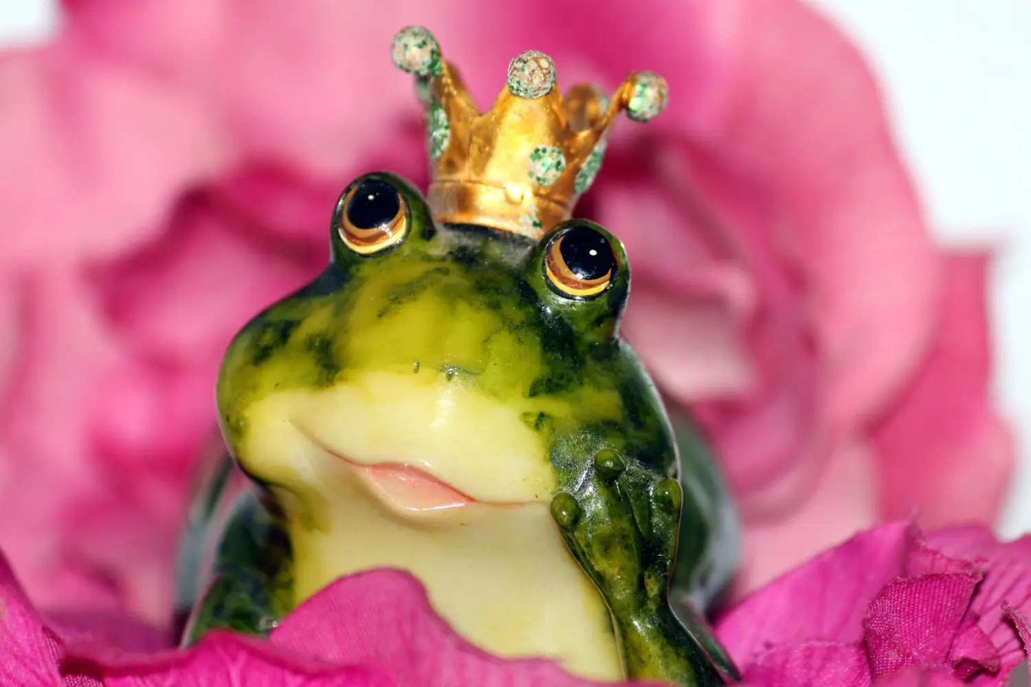 Valokuvatapetti The Frog Prince