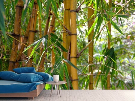 Fotomurale Bambù selvatico