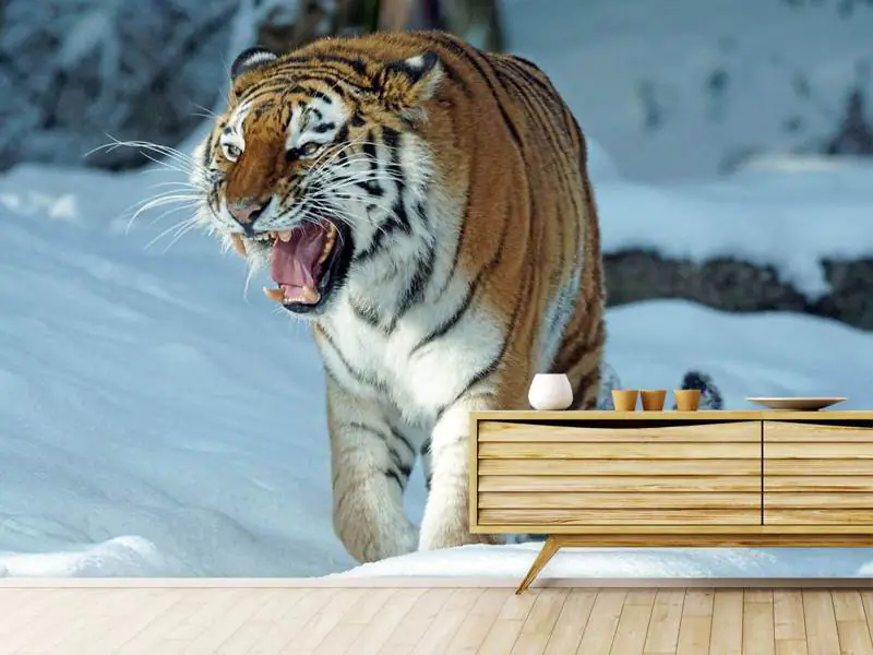 Tigre 3D Fotomurali,Animali Selvaggi 3D Carta Da Parati Fotomurali