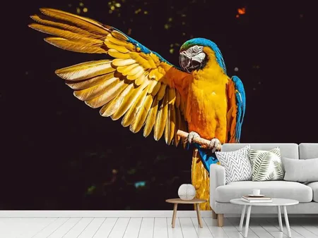 Fotobehang The macaw