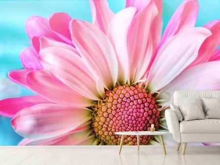 Fotobehang Colored flower