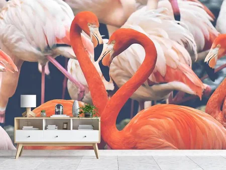 Fototapete Bunte Flamingos