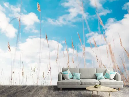 Wall Mural Photo Wallpaper Blades of grass in the sky