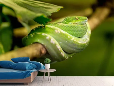 Papier peint photo Serpent vert