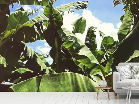 Wall Mural Photo Wallpaper In the middle of the jungle