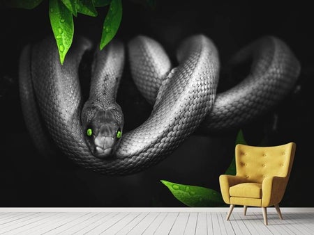 Wall Mural Photo Wallpaper Attention snake