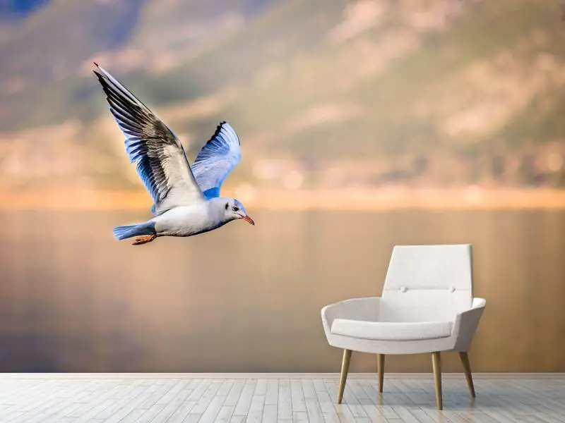 Wallpaper background, bird, Wallpaper, Seagull, wallpaper, on the desktop,  display background, screen background for mobile and desktop, section  животные, resolution 3840x2160 - download