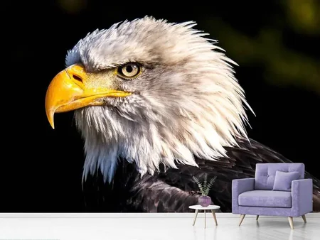 Fotobehang The eagle head