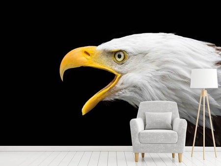 Fotobehang The bald eagle