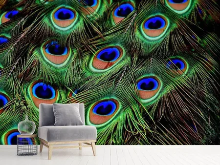 Wall Mural Photo Wallpaper Peacock feathers XXL