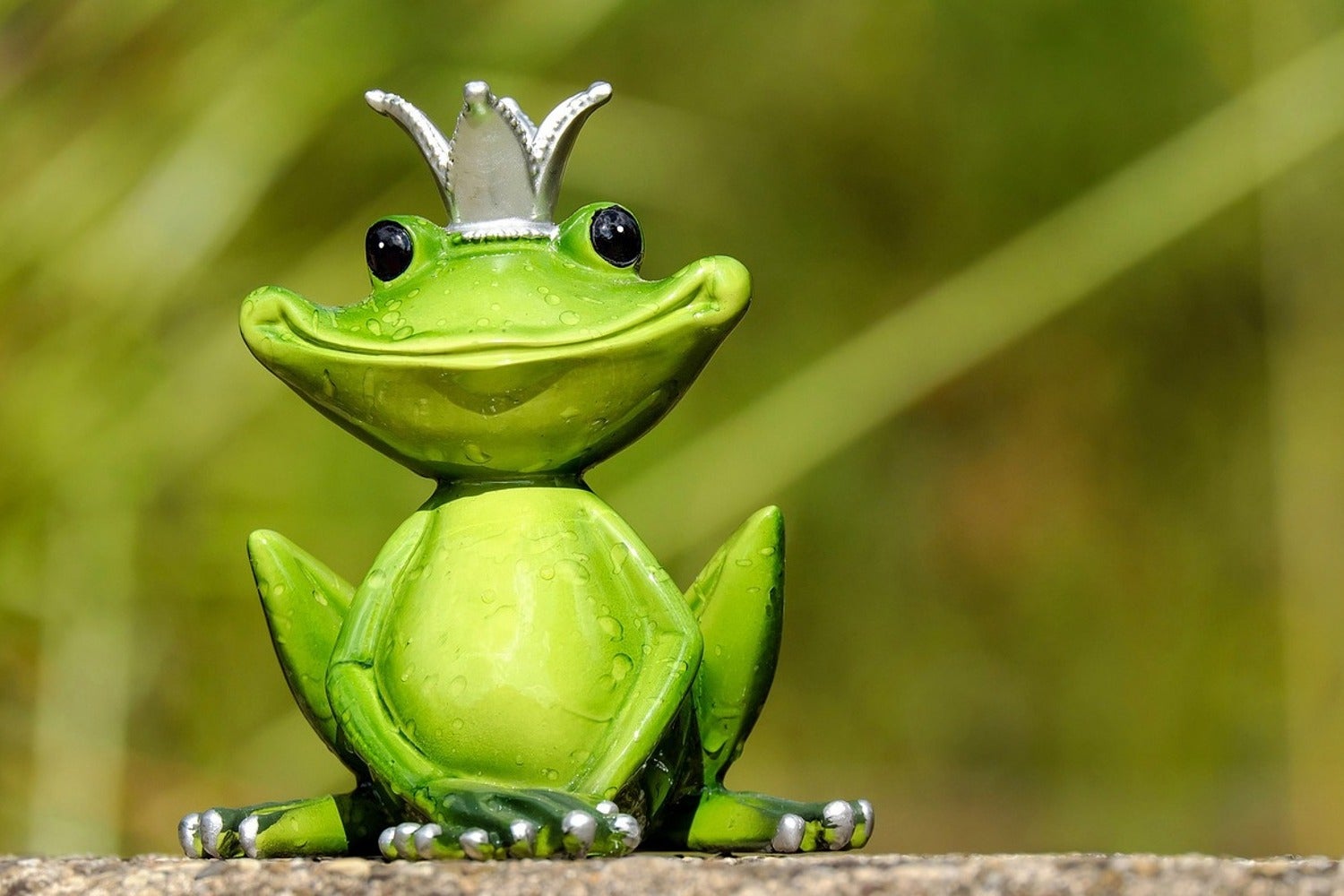 Wall Mural Photo Wallpaper Mr. Frog King | Shop now!
