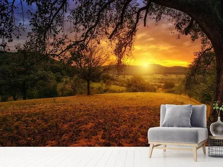 Wall Mural Photo Wallpaper A landscape in the sunset