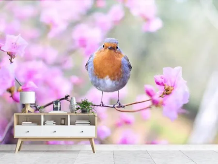 Papier peint photo Oiseau de printemps