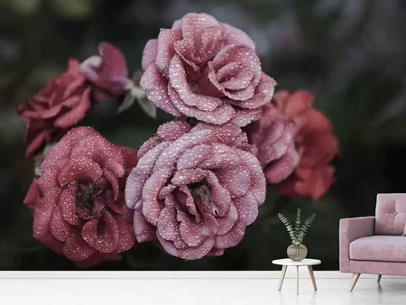 Papier peint photo Roses romantiques