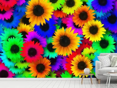 Fotobehang Colorful sunflowers