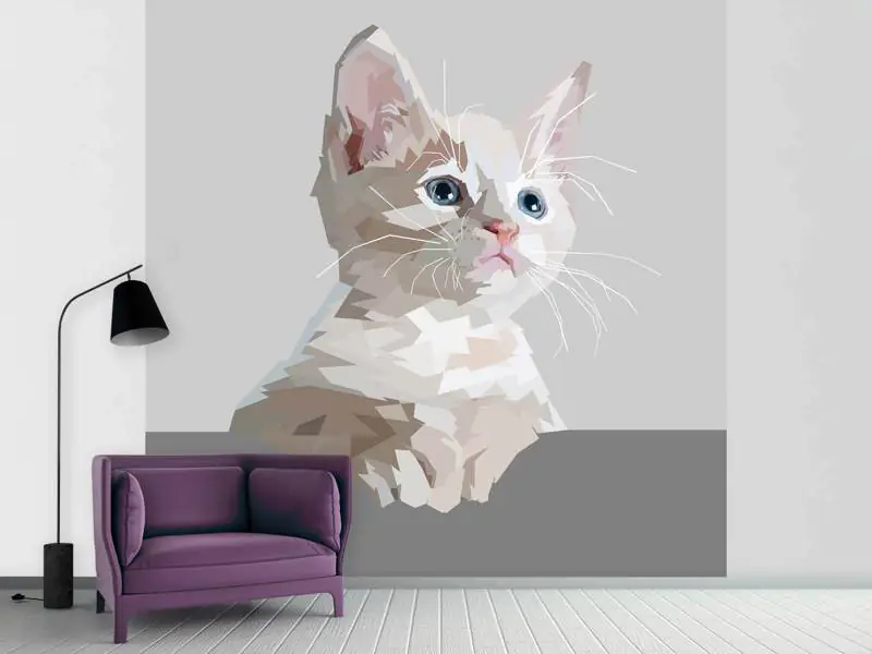 Wall Mural Photo Wallpaper Artwork cat
