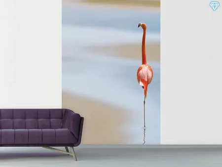 Fototapete Red Flamingo
