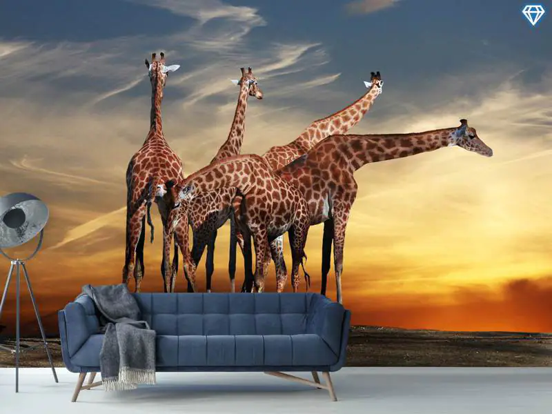 Giraffe Sunset Wall Mural African Animal Photo Wallpaper Bedroom Home Decor 