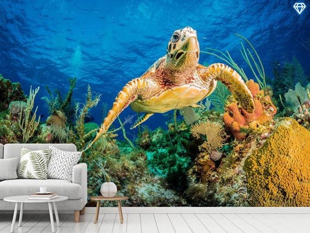 Wall Mural Photo Wallpaper Hawksbill Turtle Swimming Through Caribbean Reef