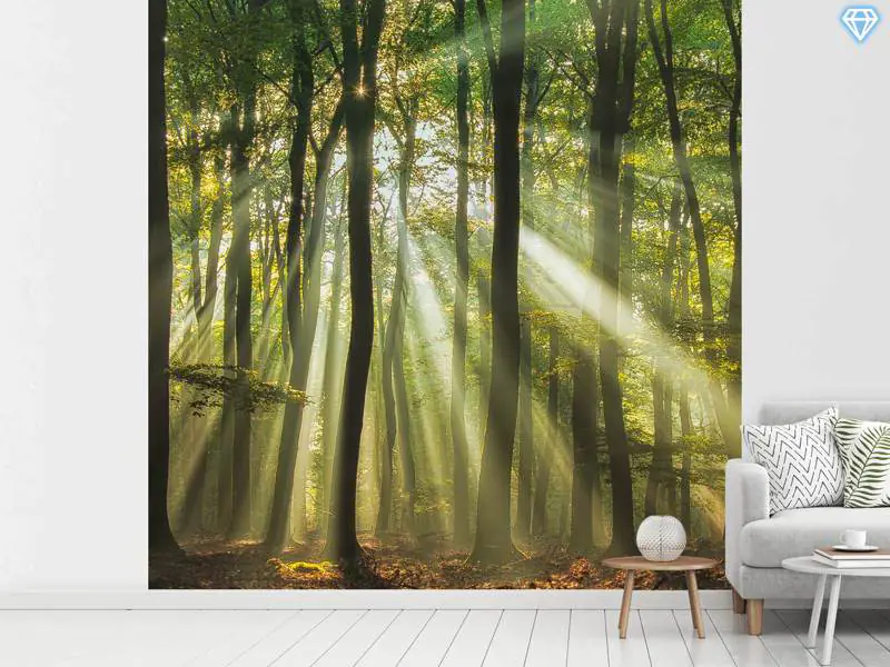 Wall Mural Photo Wallpaper Sunny Start To The Day