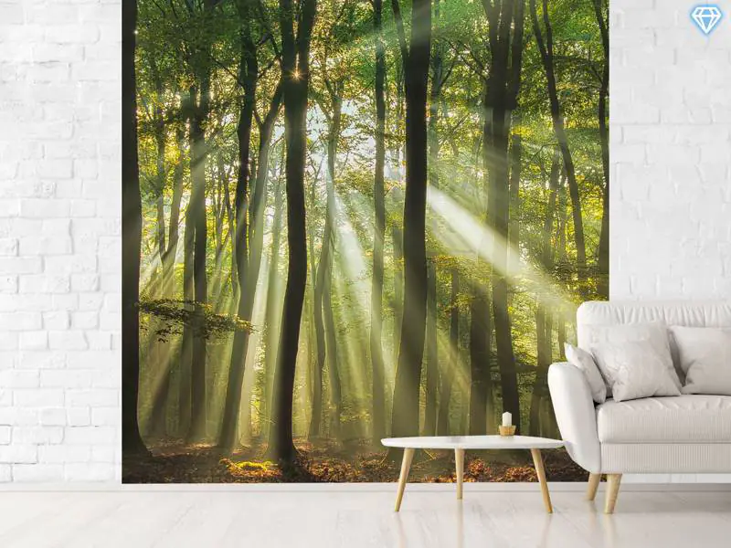 Wall Mural Photo Wallpaper Sunny Start To The Day