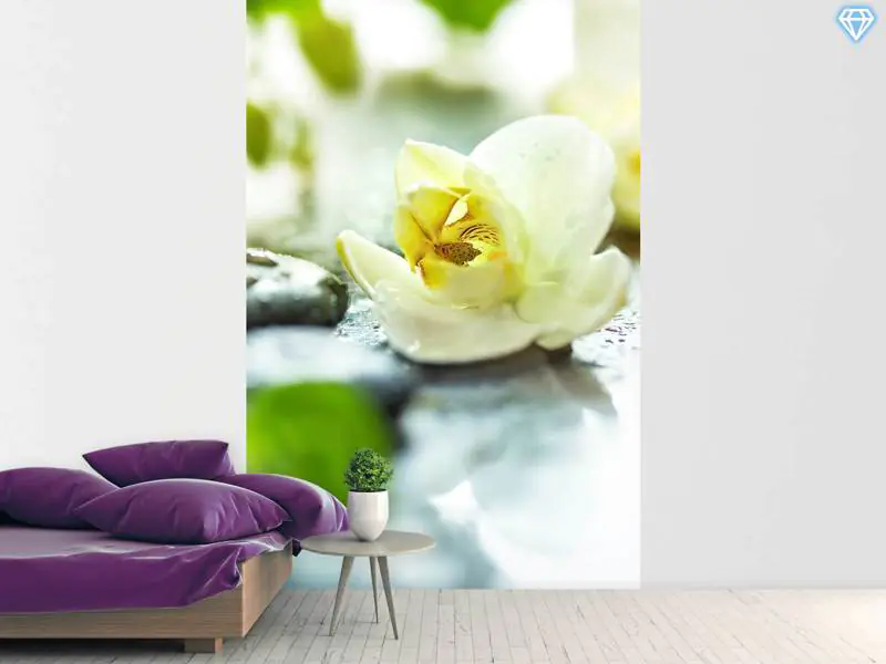 Papier peint photo Zen Orchid