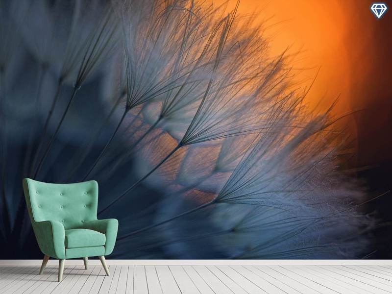 Wall Mural Photo Wallpaper Feathers
