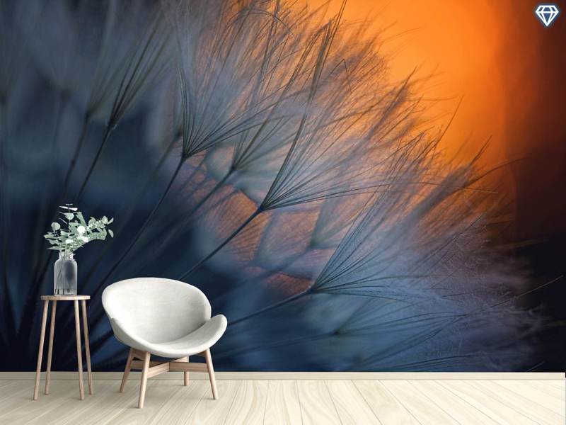 Wall Mural Photo Wallpaper Feathers