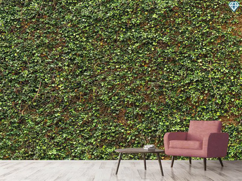 Fototapet Green Ivy Leaves Wall