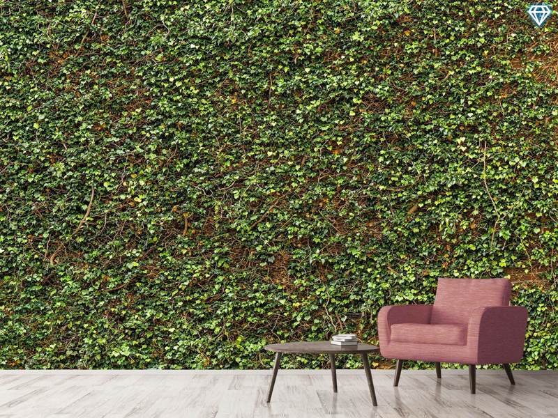 Wall Mural Photo Wallpaper Green Ivy Leaves Wall