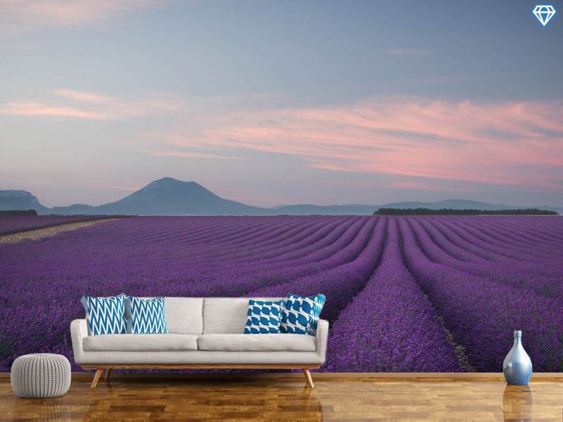 Fototapet Lavender Field