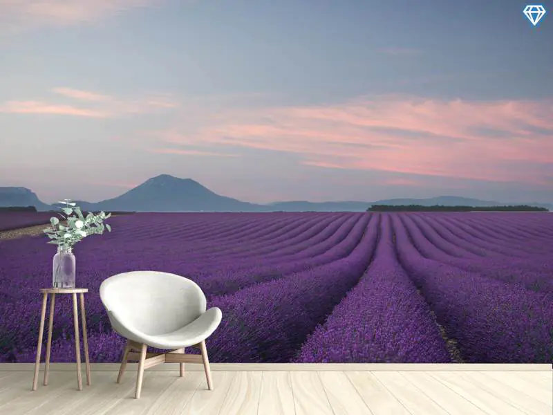 Wall Mural Photo Wallpaper Lavender Field