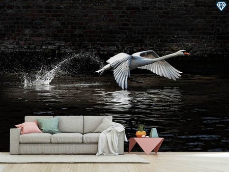 Fotobehang Flying Swan