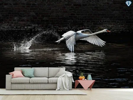 Wall Mural Photo Wallpaper Flying Swan