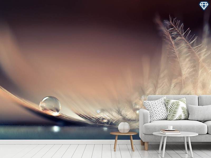 Wall Mural Photo Wallpaper Stories Of Drops | Shop now!
