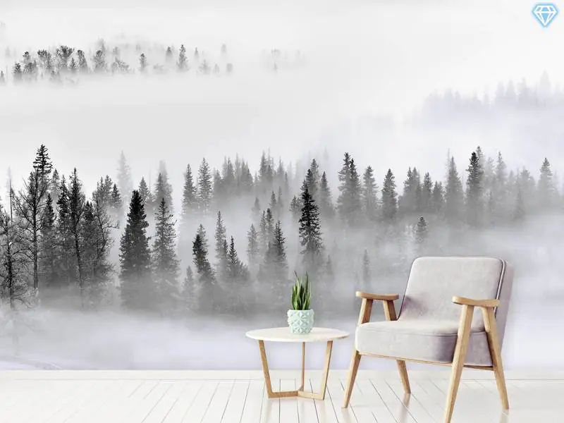 Valokuvatapetti Foggy Forest - Tilaa nyt netistä!