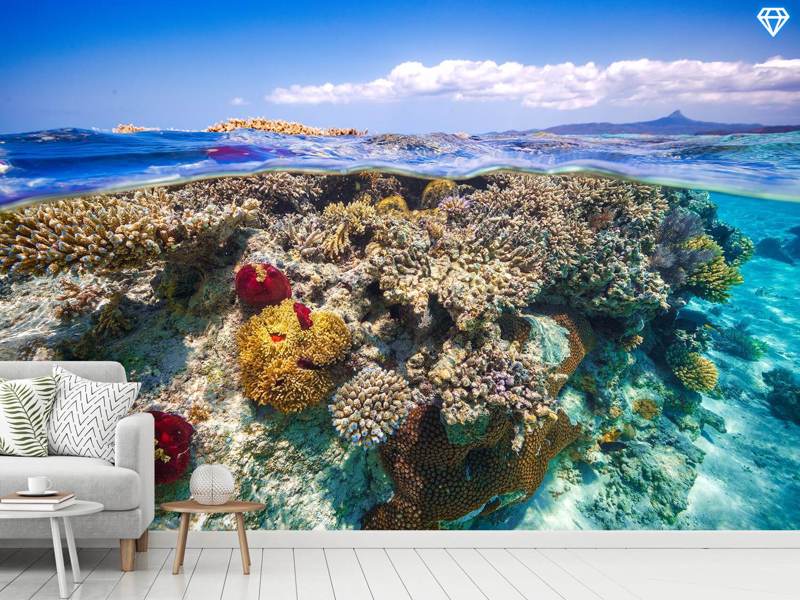 Papier peint photo Mayotte - the Reef