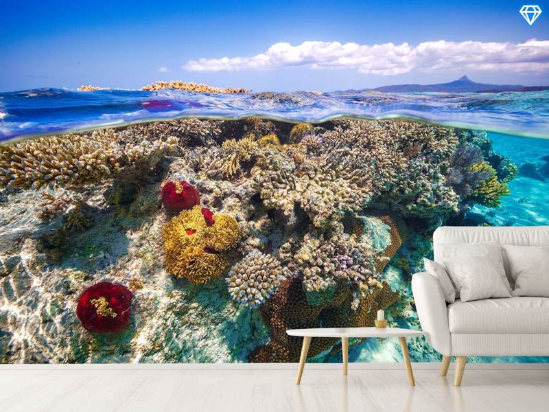 Wall Mural Photo Wallpaper Mayotte - the Reef