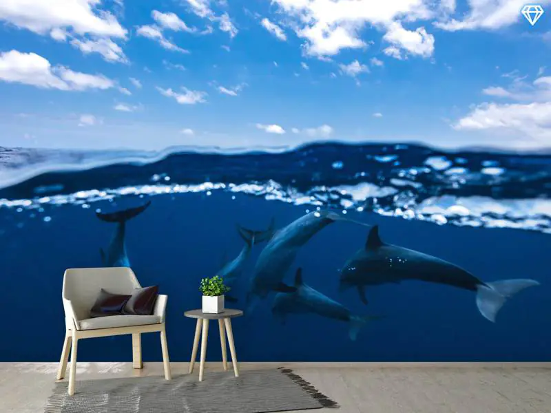 Wall Mural Photo Wallpaper Between Air And Water With The Dolphins