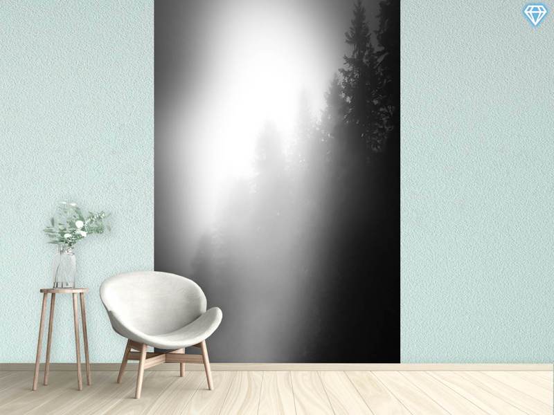 Wall Mural Photo Wallpaper Walking In The Forest