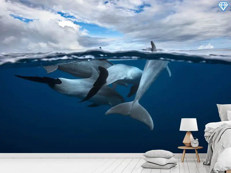 Wall Mural Photo Wallpaper Pod Of Dolphin At The Surface