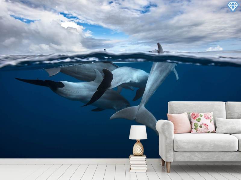 Wall Mural Photo Wallpaper Pod Of Dolphin At The Surface