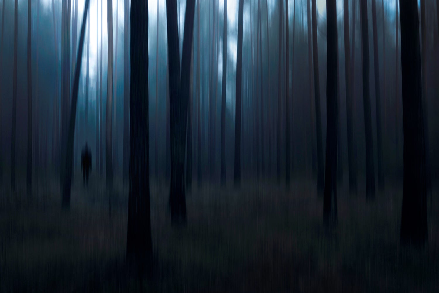 Valokuvatapetti Man In The Forest