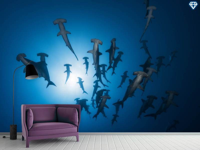 Wall Mural Photo Wallpaper Hammerhead Shark - Underwater Photography