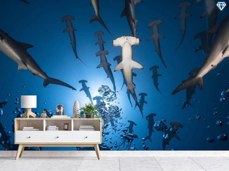 Wall Mural Photo Wallpaper Hammerhead Shark