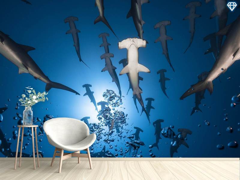 Wall Mural Photo Wallpaper Hammerhead Shark