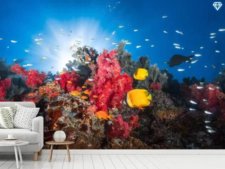 Wall Mural Photo Wallpaper Reef Life
