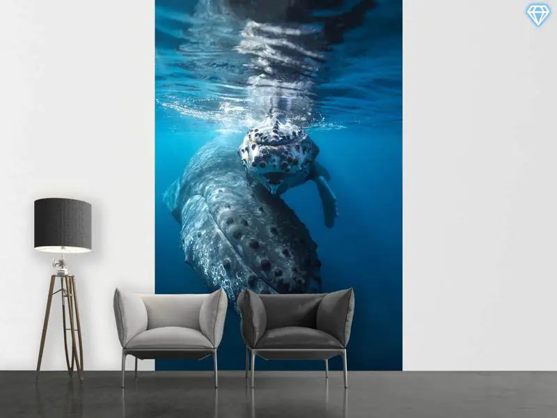 Wall Mural Photo Wallpaper Humpback Whale And Calf